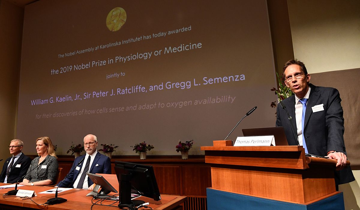 嘉应学院医学院2023年哪些专业招生