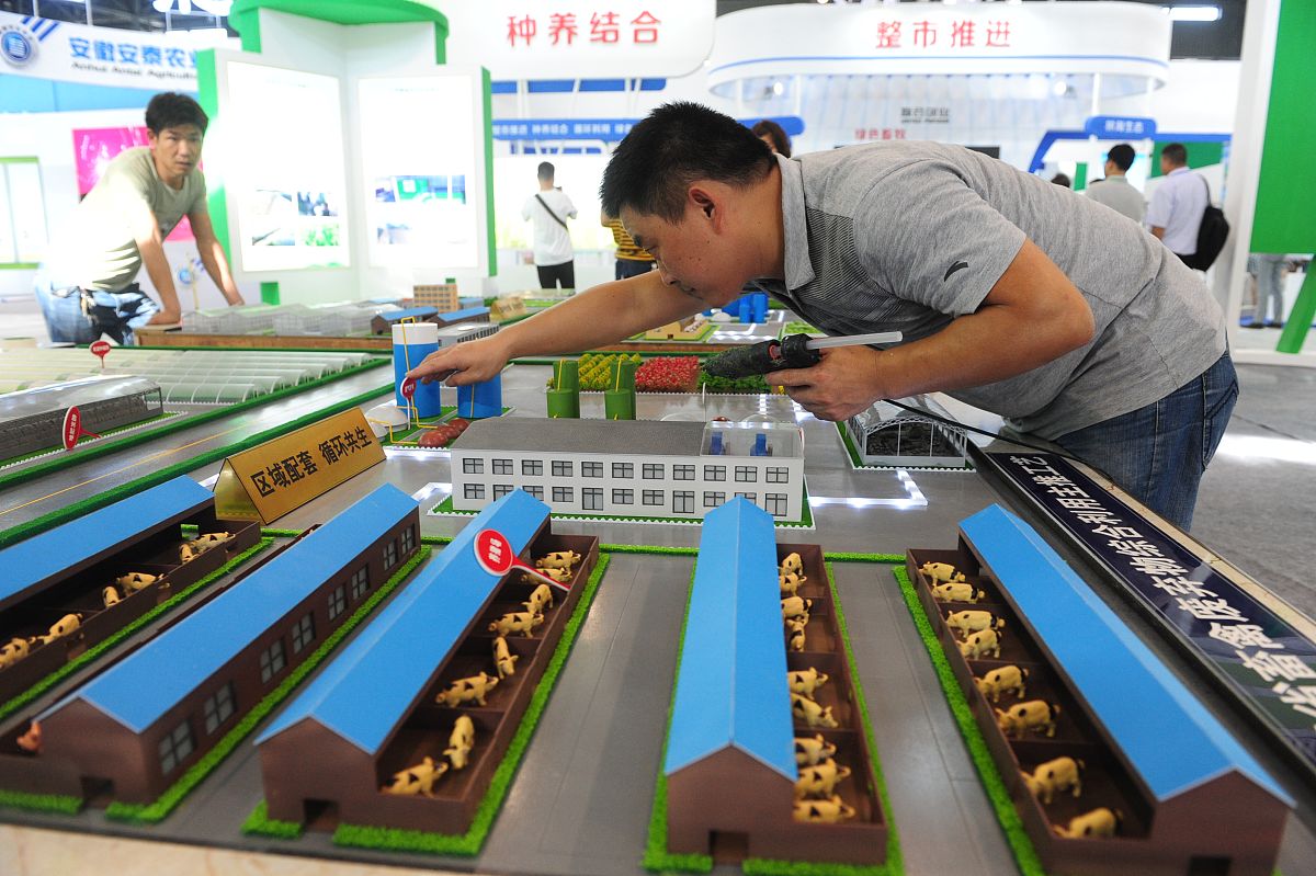 廊坊职业技术学院畜牧兽医专业都学些什么