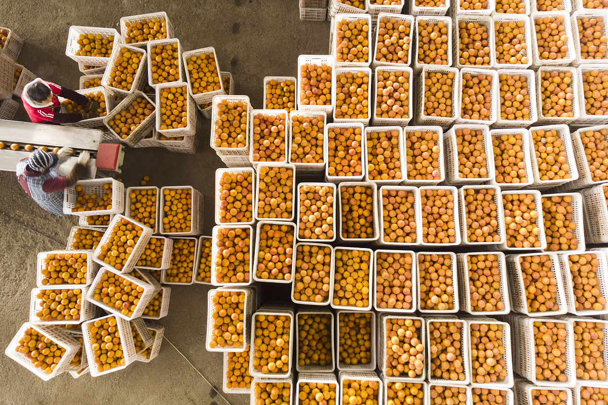 四川广播电视中等专业学校专业有哪些 各专业的就业方向