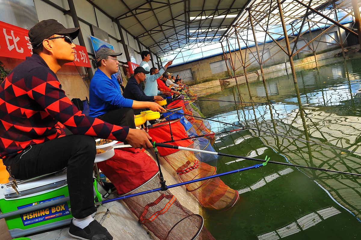 钓鱼比赛。是的我和我的朋友赢了。