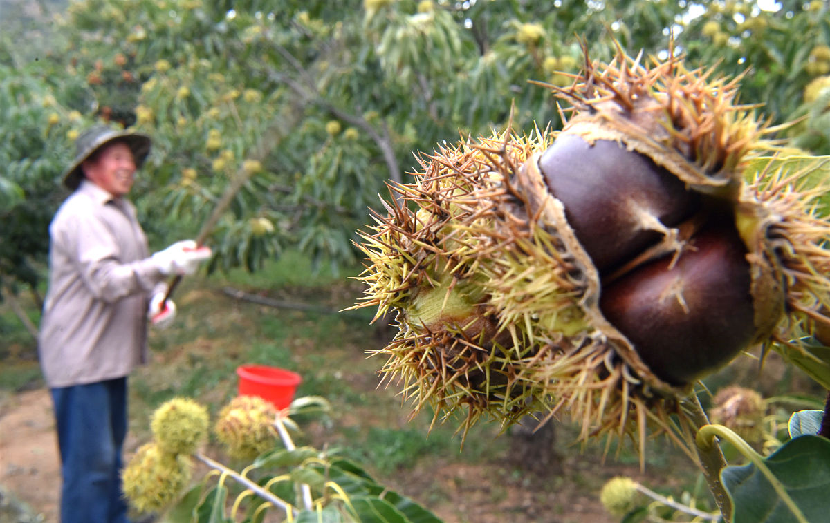 2023年山东淄博工业学校招生简章-专业设置及报名时间