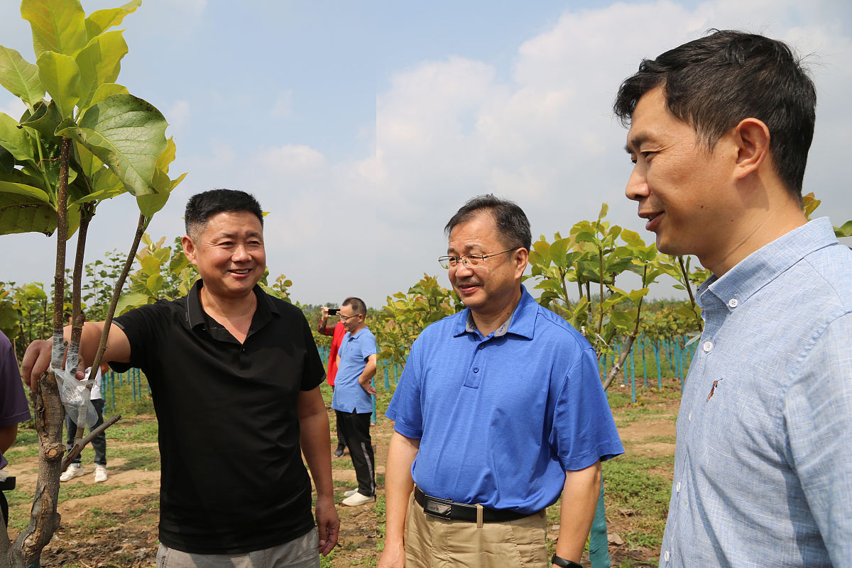 北京林业大学林学类专业怎么样