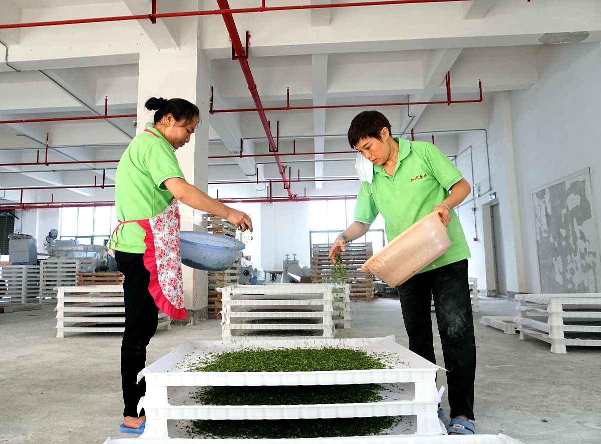 宁南县职业技术学校蚕桑生产与经营专业到底行不行设有哪些课程