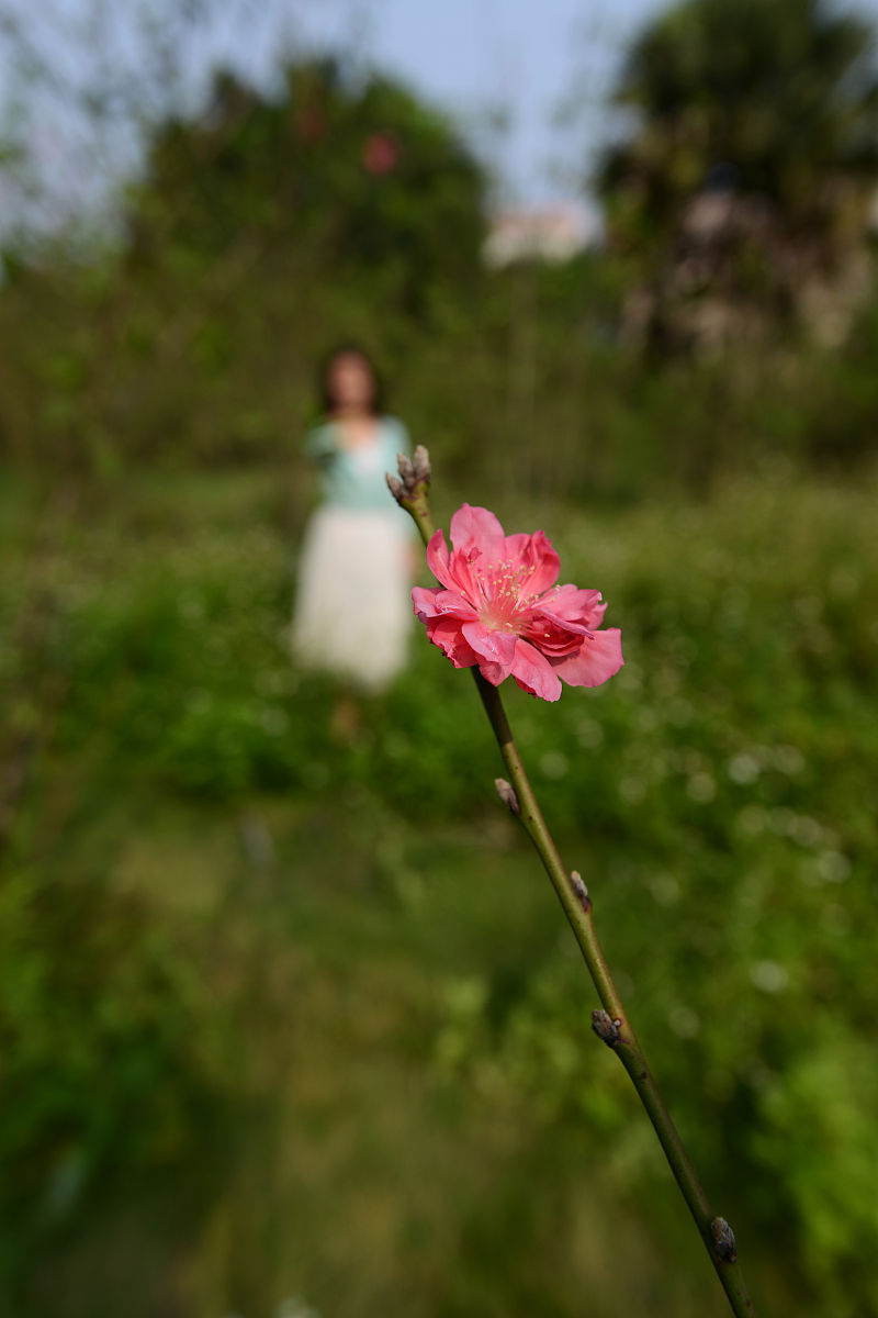 广西科技大学鹿山学院车辆工程专业怎么样？就业前景如何？