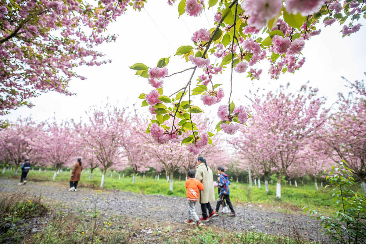贵州毕节卫生学校2022年招生简章