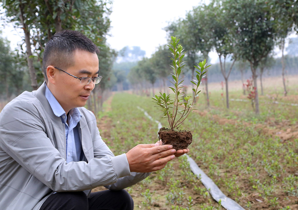 如何平衡教学与科研工作