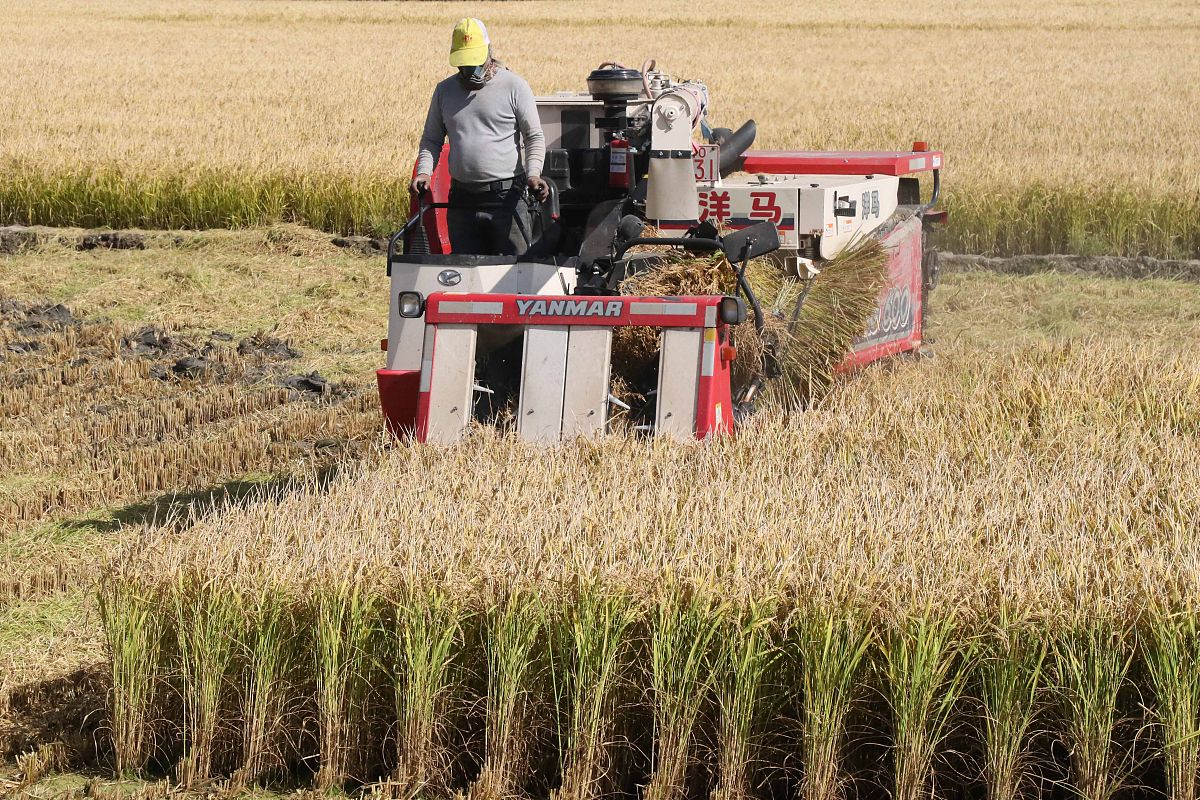 伊犁州高级技工学校怎么样 环境如何