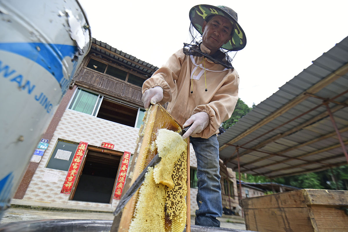 锦州师范高等专科学校旅游管理专业课程设置详解