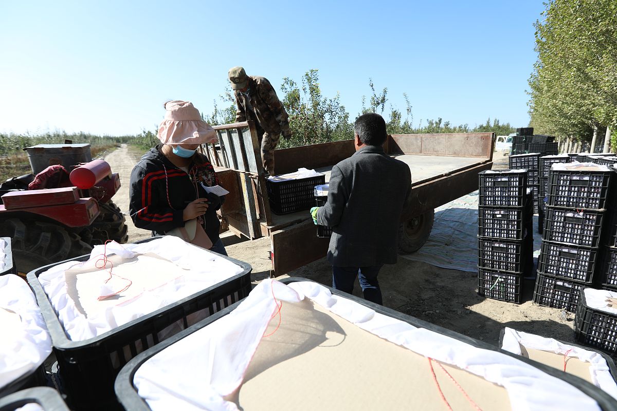 阜南农林科技学校2023年招生报名简章-培养高素质农林人才