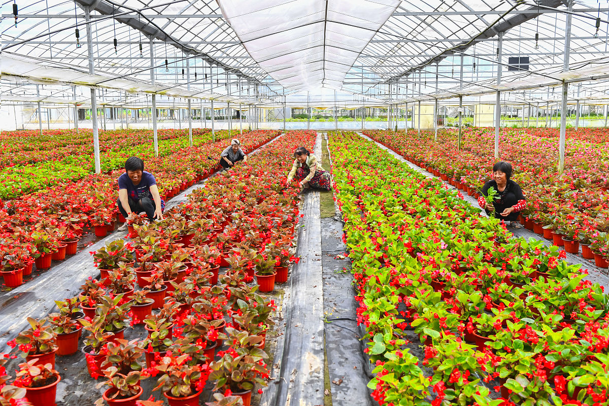 曲靖农业中等学校五年制大专招生报名电话