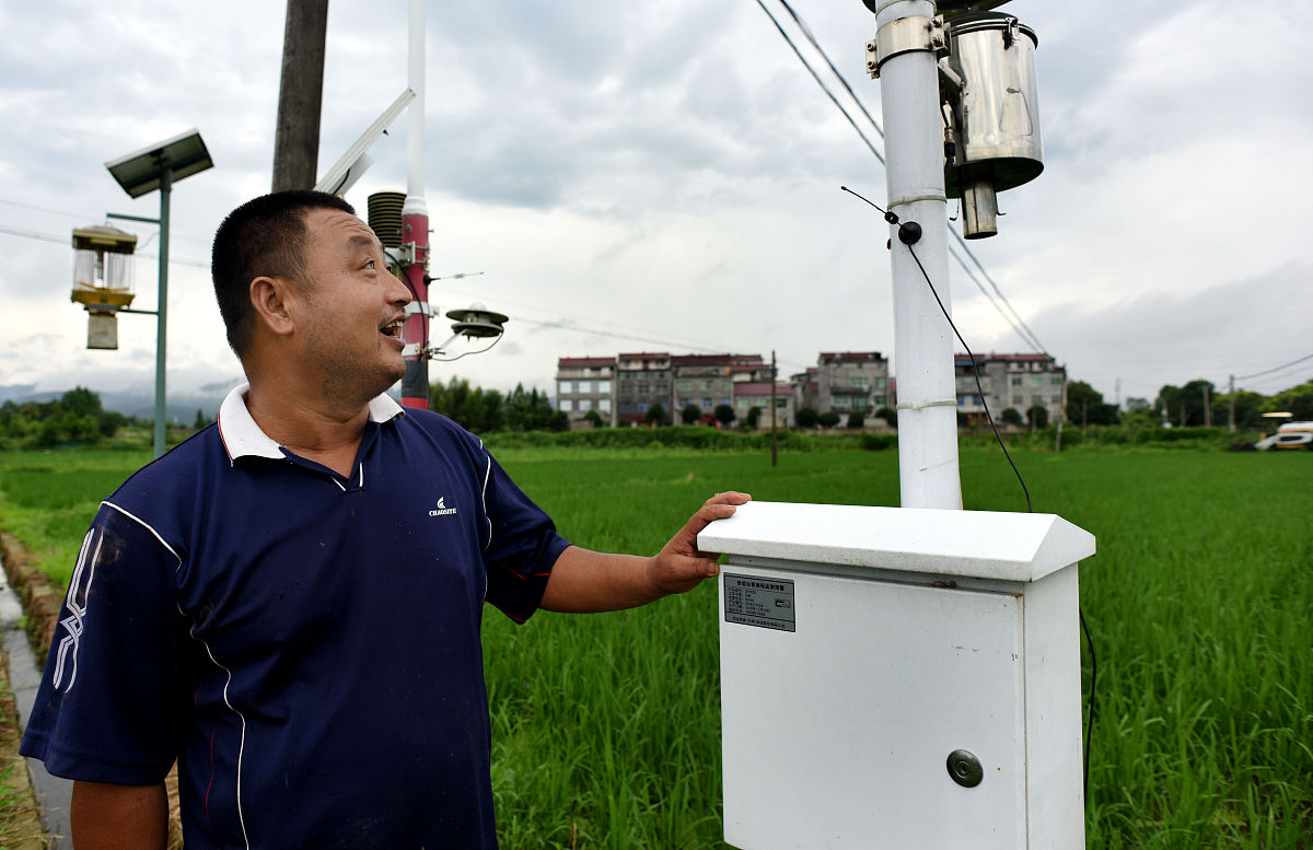 虫情预警系统：出苗率、长势健康度阈值设定与预警功能