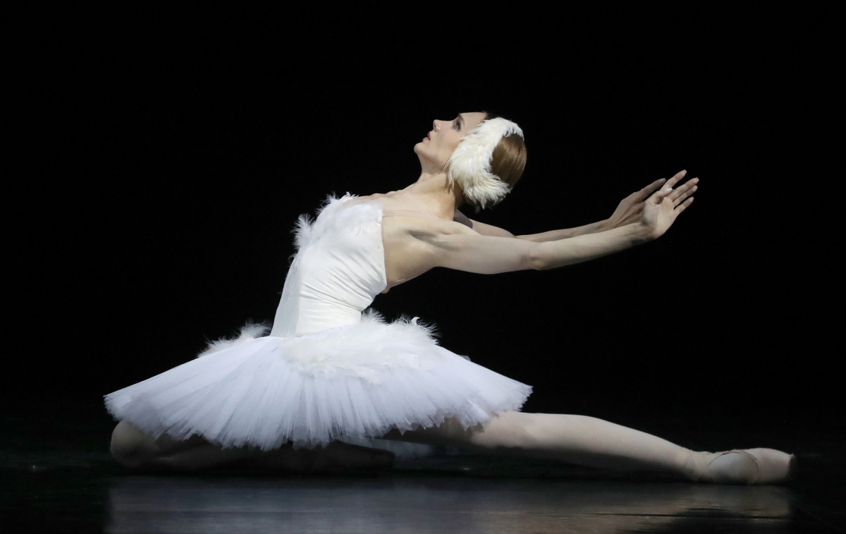 黑白天鹅舞蹈段：艺术表现与深刻意义