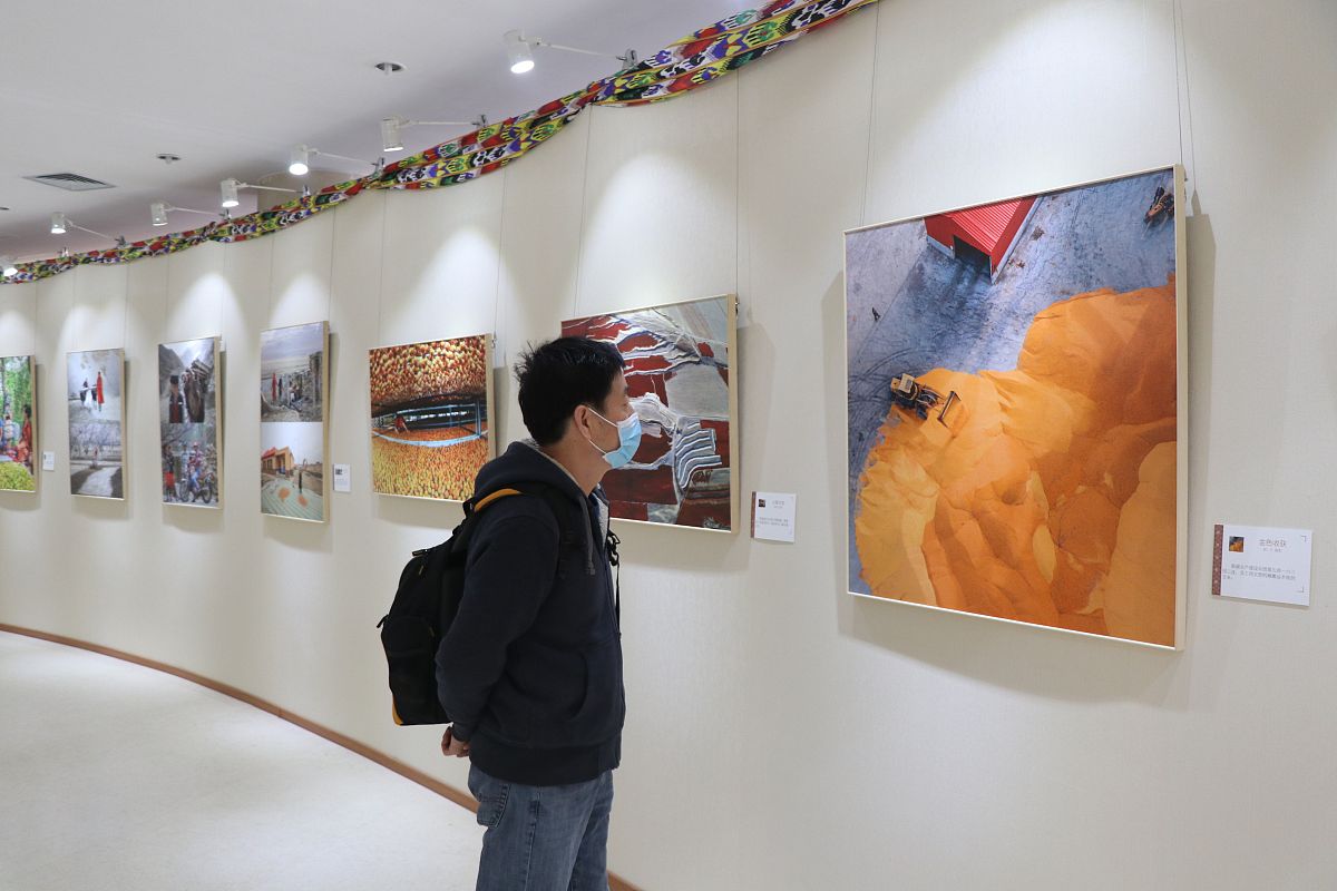 则为大泽在那句诗词中