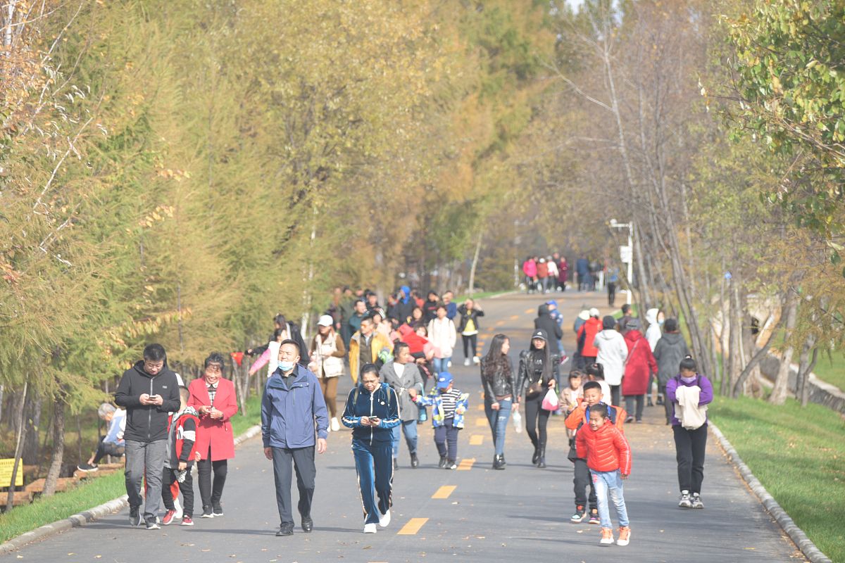 黑龙江民族职业学院计算机网络技术专业好就业吗