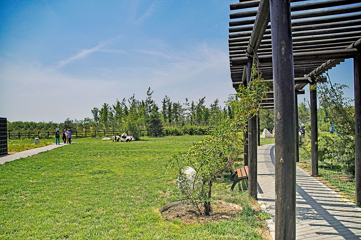 雄安新区低密度绿色自然办公空间设计 论文第四章 应用