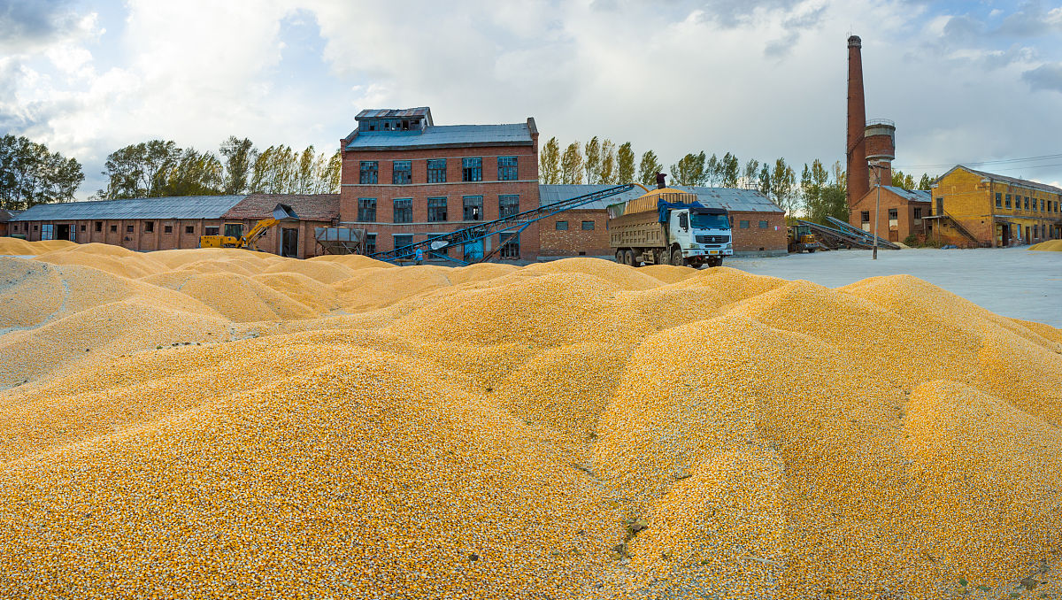 你知道黑龙江密山市么