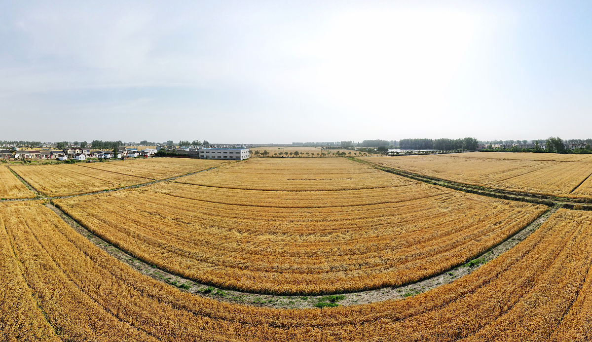 已有研究表明，江苏省南京市和无锡市的农作物产品中重金属Cd、Pb超标率分别达到25%、66.7%