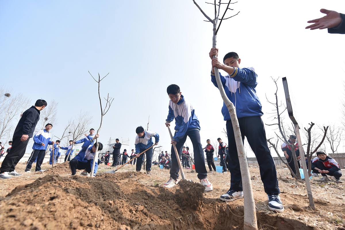 创新科技助力城市园林改造：无人机植树、虚拟现实景观设计、智能感知养护