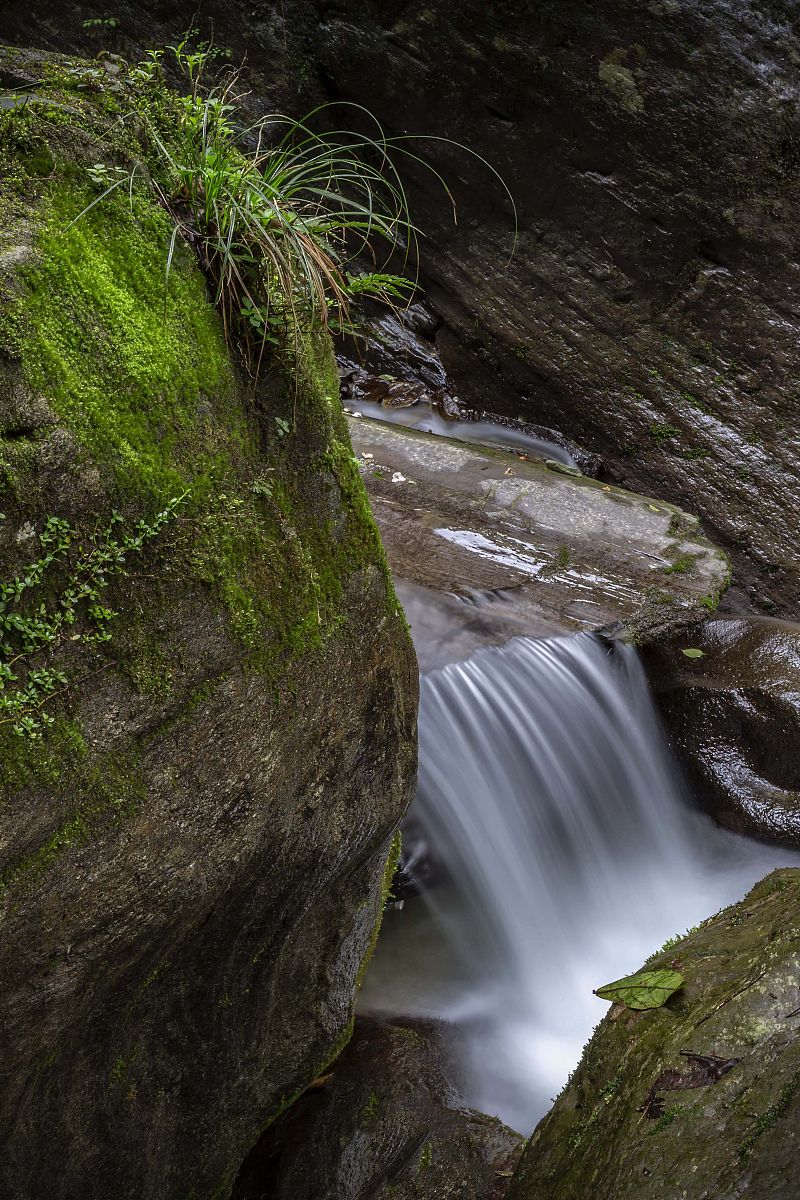 铜仁幼儿师范高等专科学校2019招生简章 | 报名电话、QQ、地址
