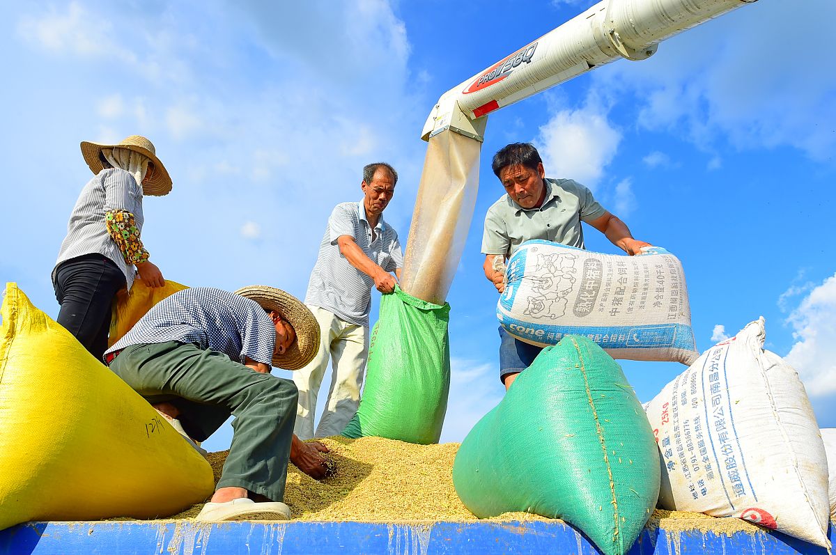 江西泰豪动漫职业学院单招药剂专业好吗