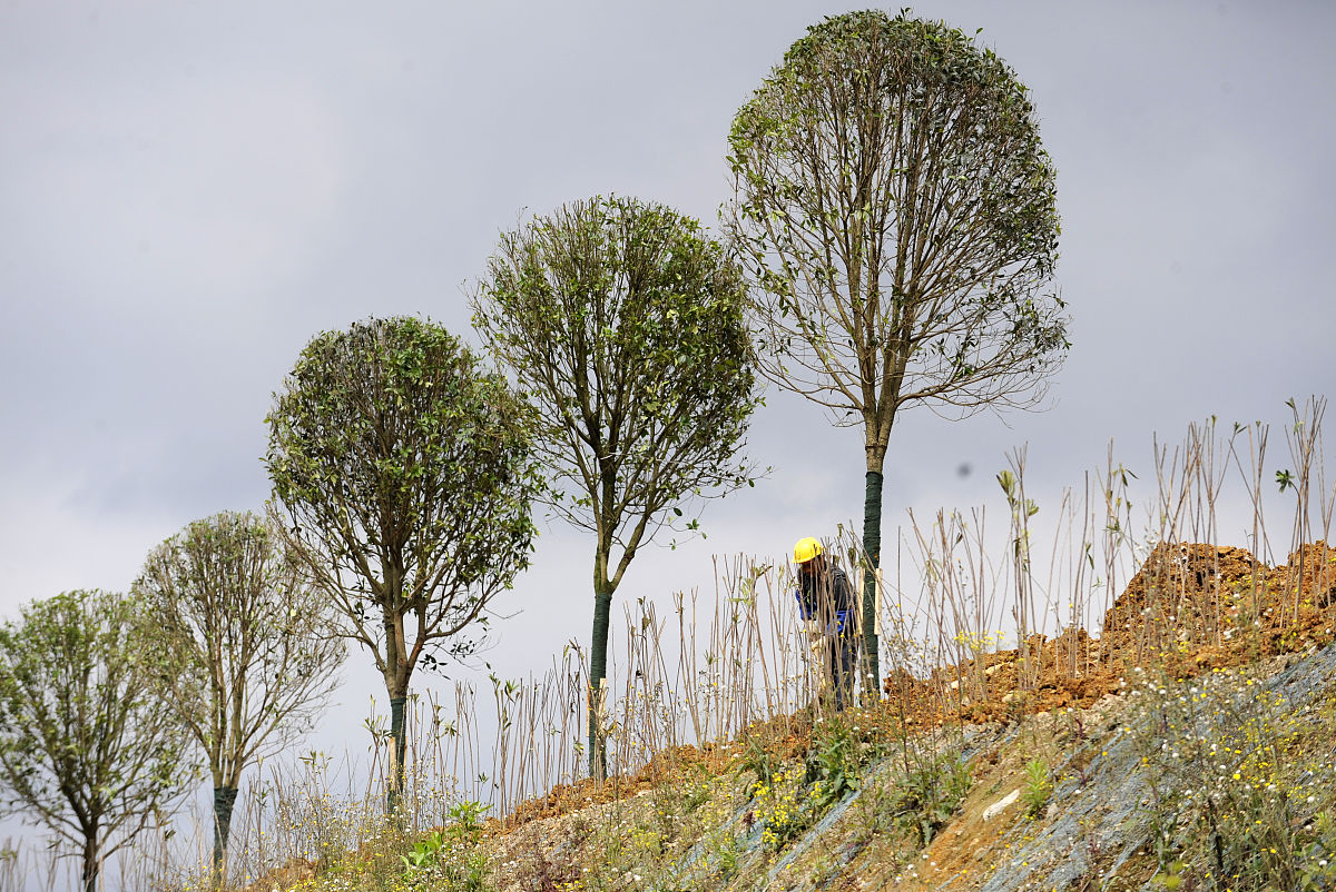 贵州省林业学校园林技术专业就业方向：前景分析与职业规划