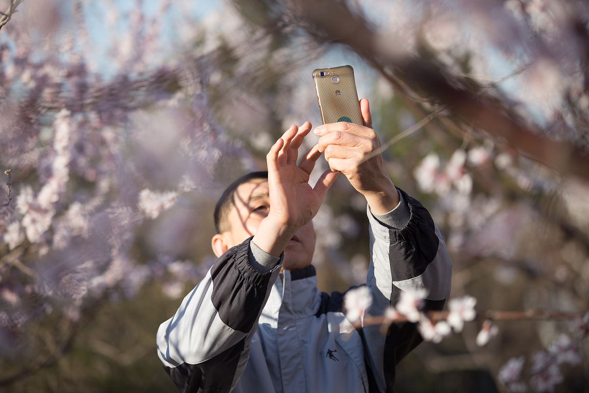 2019年3月12日,随着气温逐渐升高,春风送暖让人感觉十分舒服.济南近日