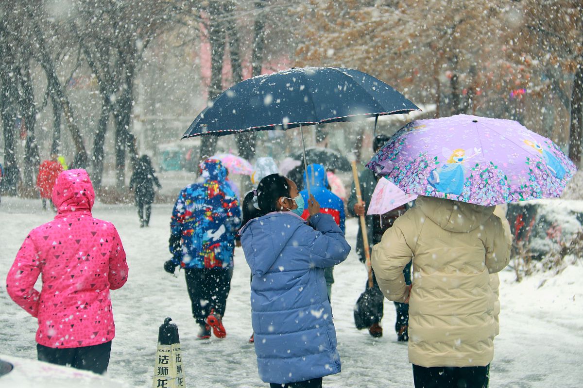 2021年11月15日,受冷空气影响,新疆阿勒泰地区普降大雪,局地暴雪.