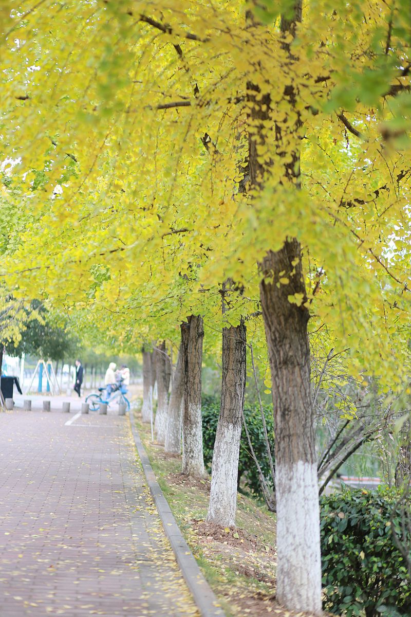 重庆三峡联合职业大学护理专业怎么样？优势、不足及发展趋势