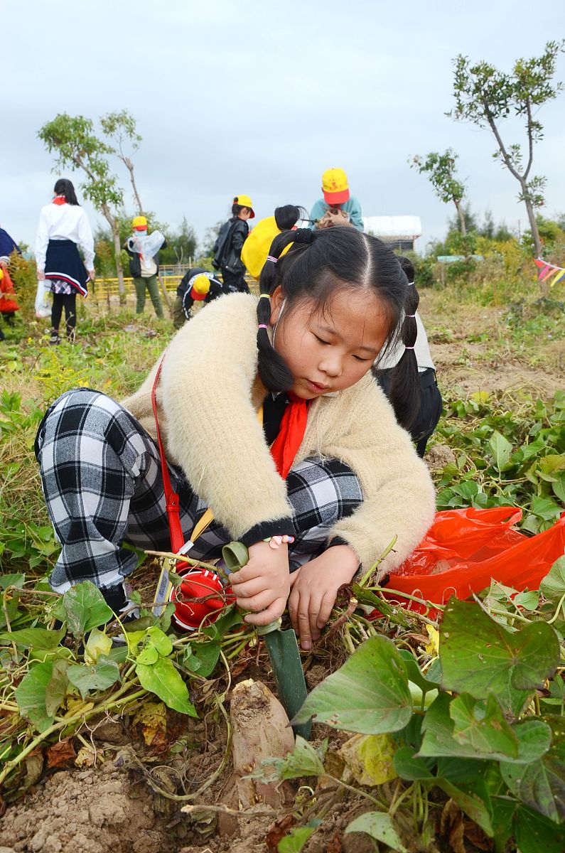 成都德圣中等职业学校2020年招生报读条件