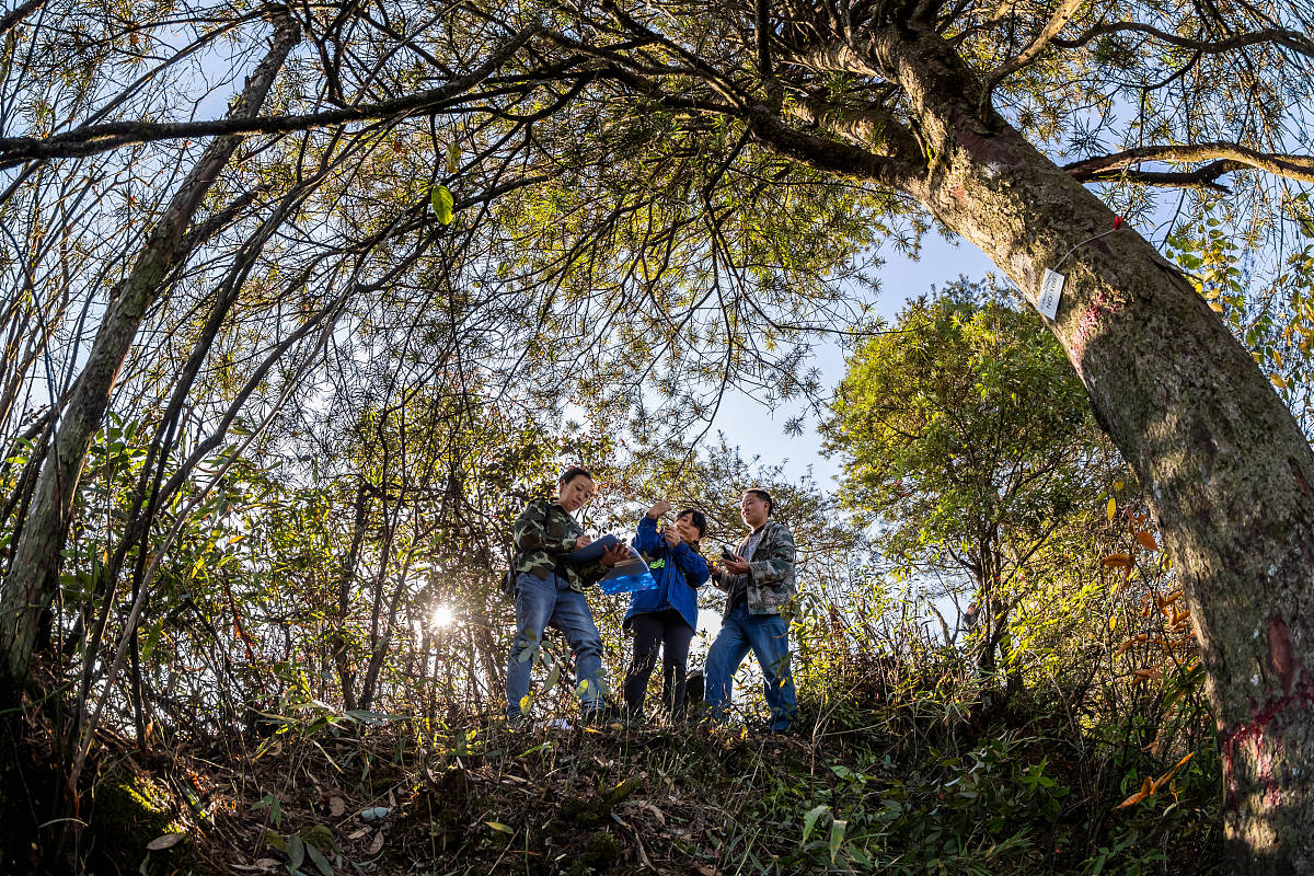 This means that if the plants produce reproductive biomass as late as possible during a specific time period the average S which refers to a measure of plant fitness per plant will increase Essentiall