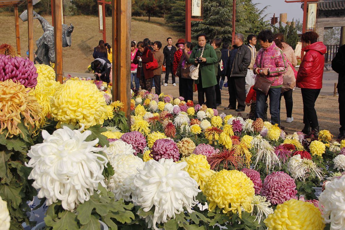 重阳节的风俗是什么