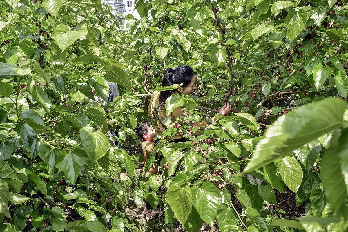 关于四川资阳市公路施工总承包二级办理转让哪个公司有？字数
