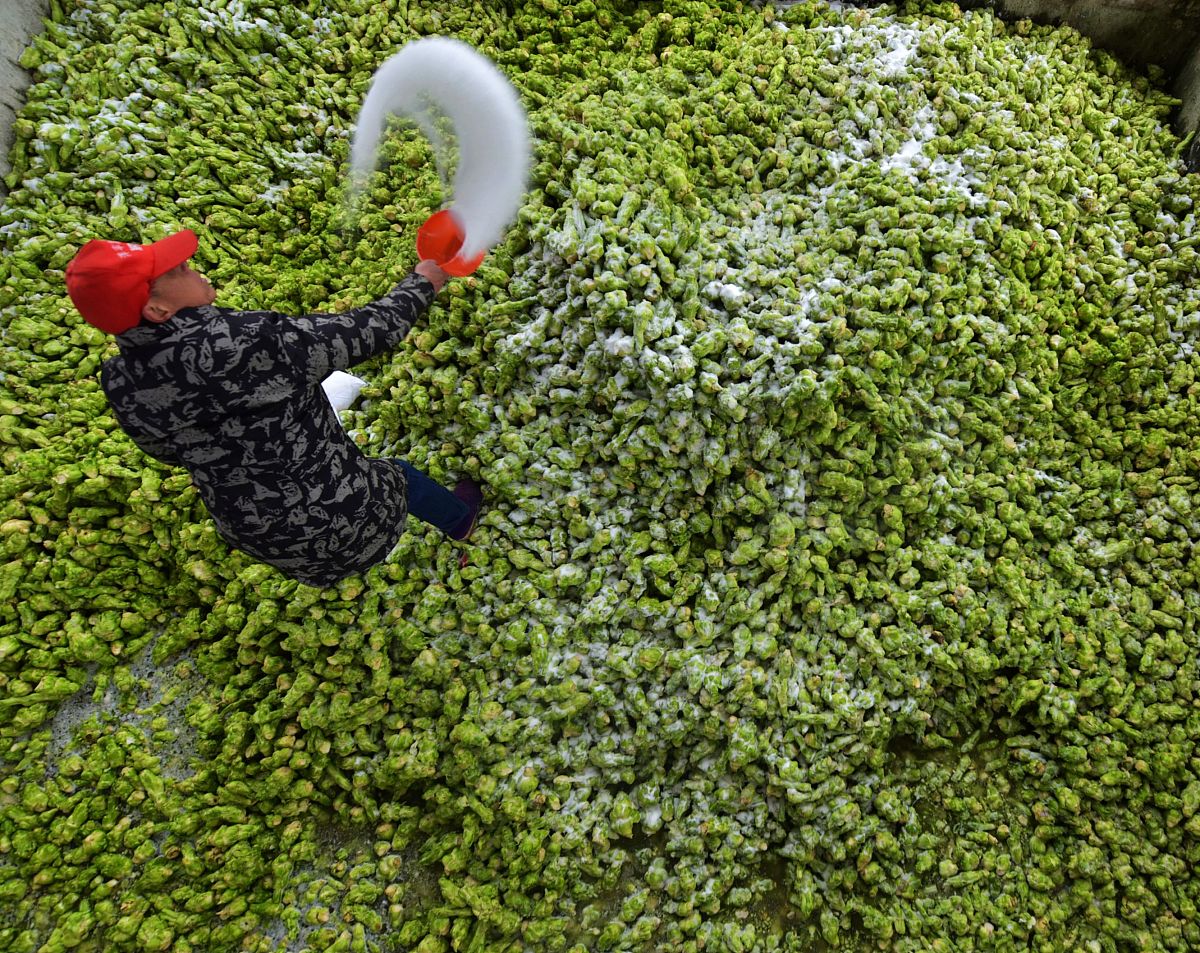 重庆第二农业学校招生专业有哪些？环境怎么样？