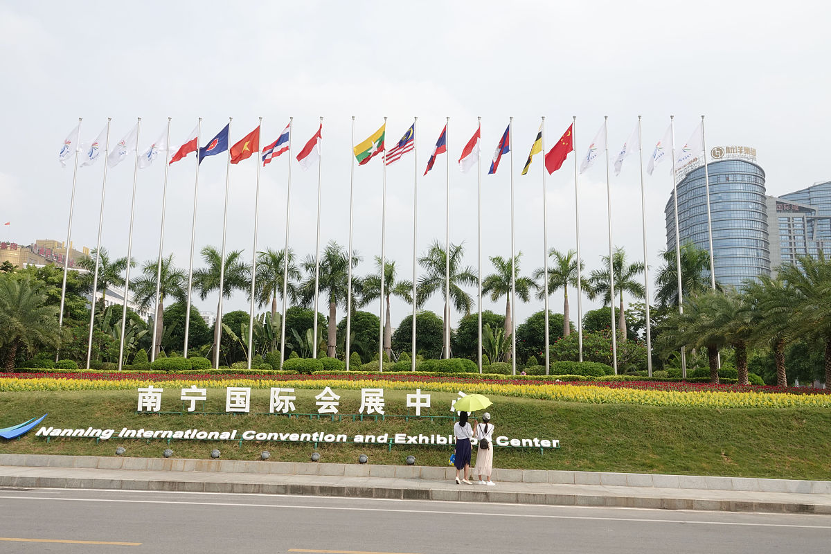 请你做为一个专业论文审稿人帮我将以下一段话缩短使其符合原有的逻辑降低网上的重复率中文：中国—东盟自由贸易区共同打造东盟制造东盟国家提供原材料和市场中国提供技术和制造能力。中国拥有先进的制造业和技术可以向东盟出口高附加值产品；而东盟国家则具备丰富的资源和廉价的劳动力并且市场规模庞大可以为中国提供更广阔的合作空间。鼓励中国—东盟自由贸易区内企业进行技术创新、产业链、服务化和绿色化等方面的升级提升生产率
