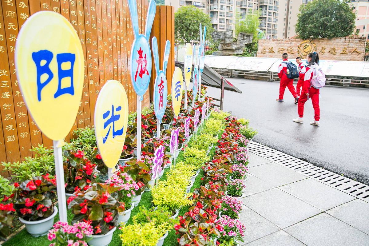 贵州省林业学校影视动画专业好就业吗