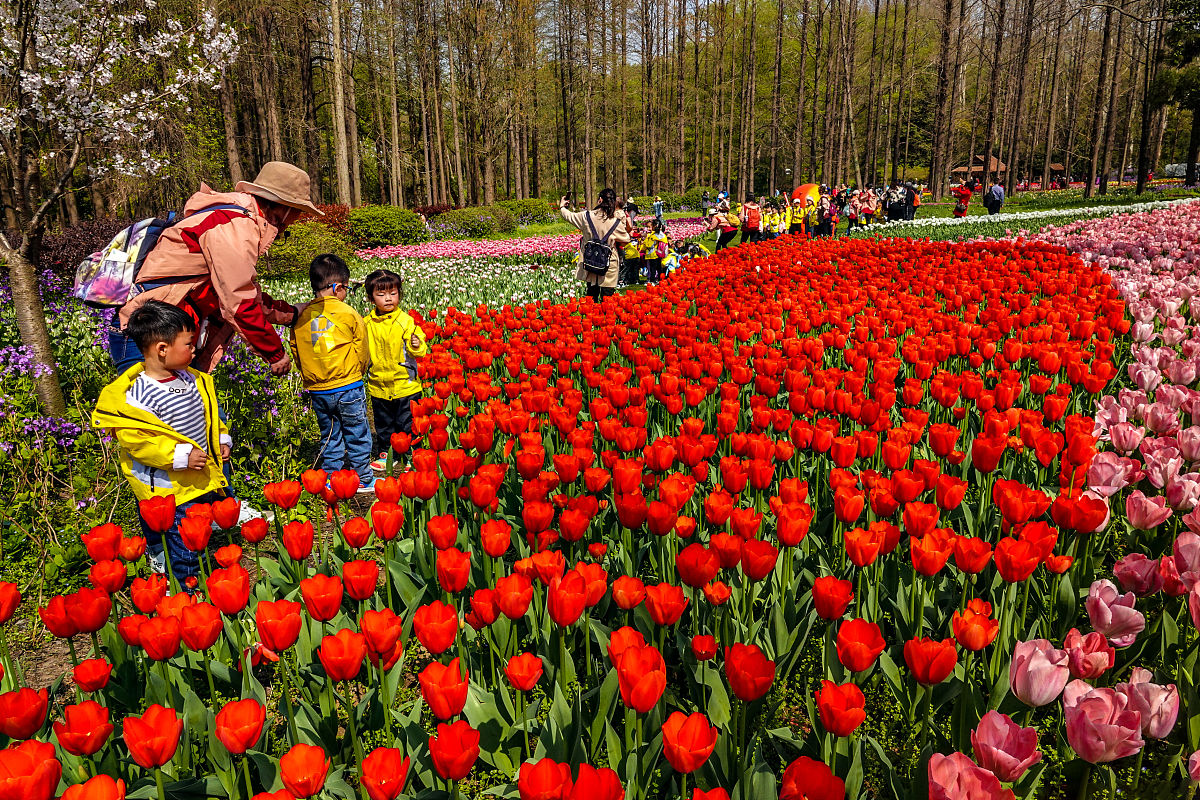 如何夸奖一个人的爱好：10个实用表达