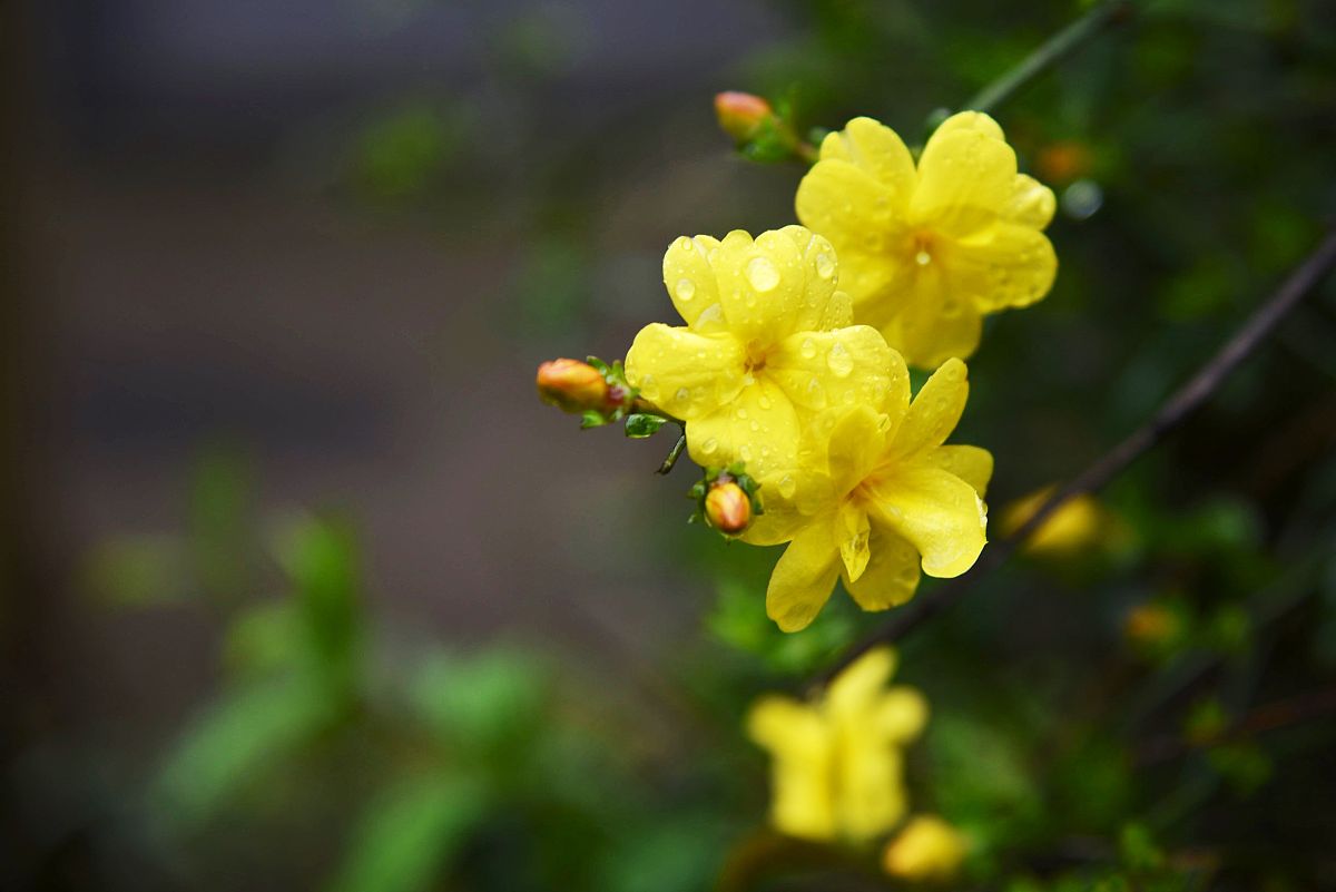 湖州技师学院2023招生简章