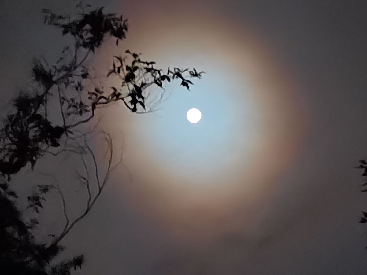 古代的诗人看月亮思念家乡，是因为他们来自月球吗？