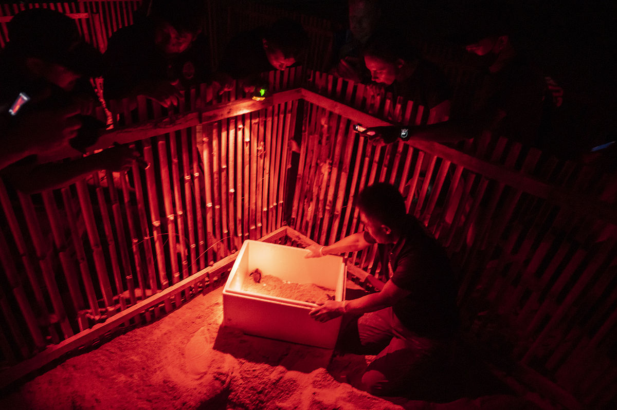 青岛海运职业学校3+2大专招生专业-2023年最新计划