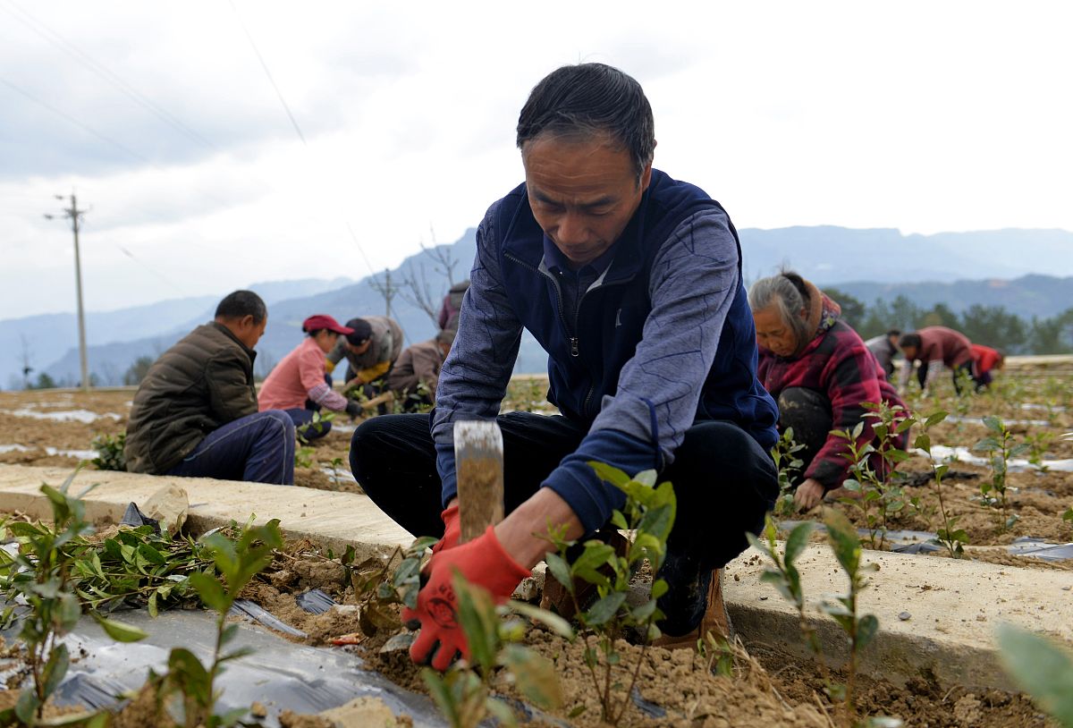巴中初中未毕业读什么中专学校？适合你的中专学校选择指南