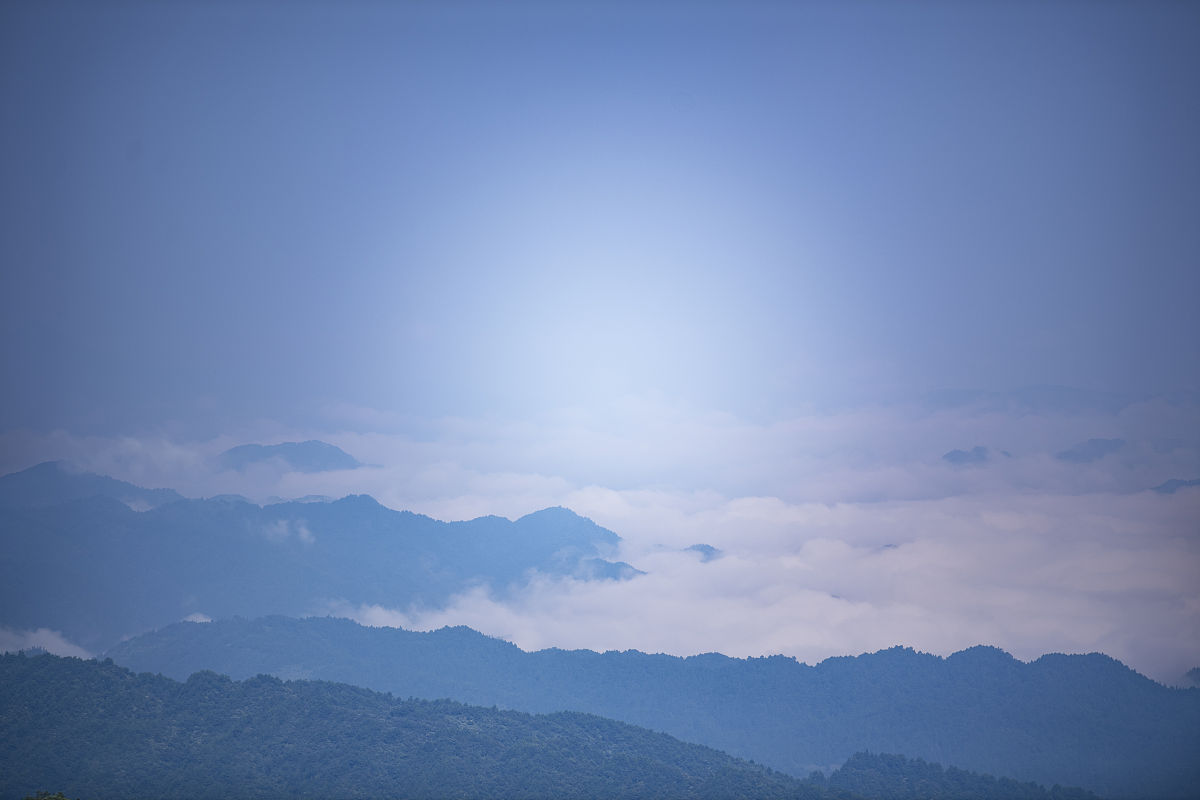 贵州中华职业技术学校开设了哪些专业