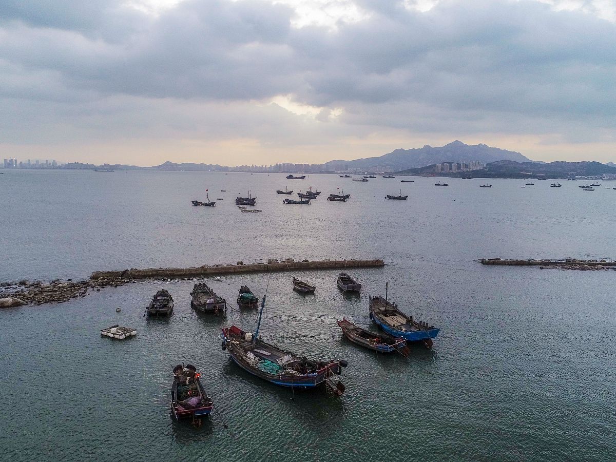 2018年8月16日,青岛西海岸新区海滨渔港伏休的渔船停泊在港湾里.