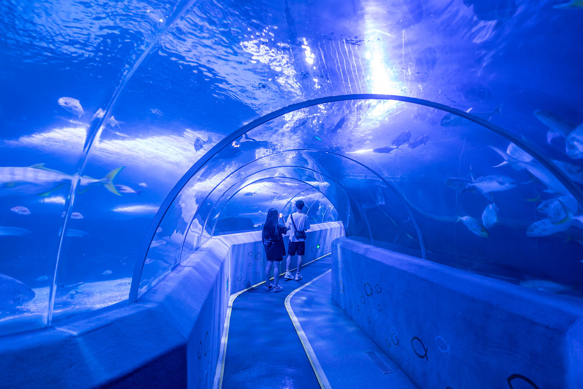 青岛有哪些4A景点