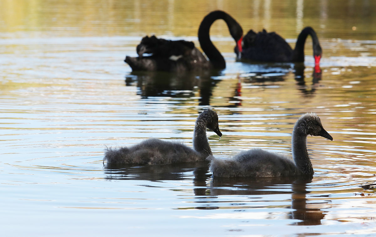 2022年昆明医科大学法学专业招生