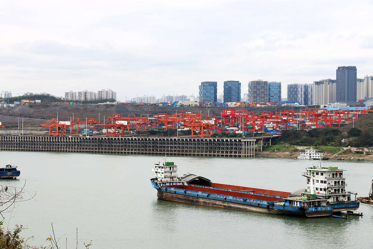 海运保险哪家强？2023年最全海运保险类型及费用详解