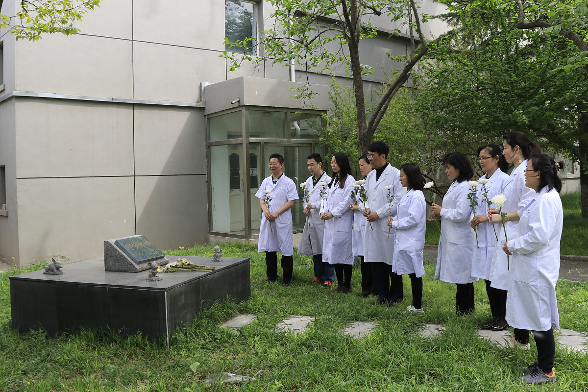 四川卫生学校的医学影像专业人才培养如何