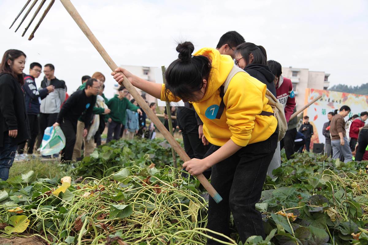 三下乡社会实践的角色