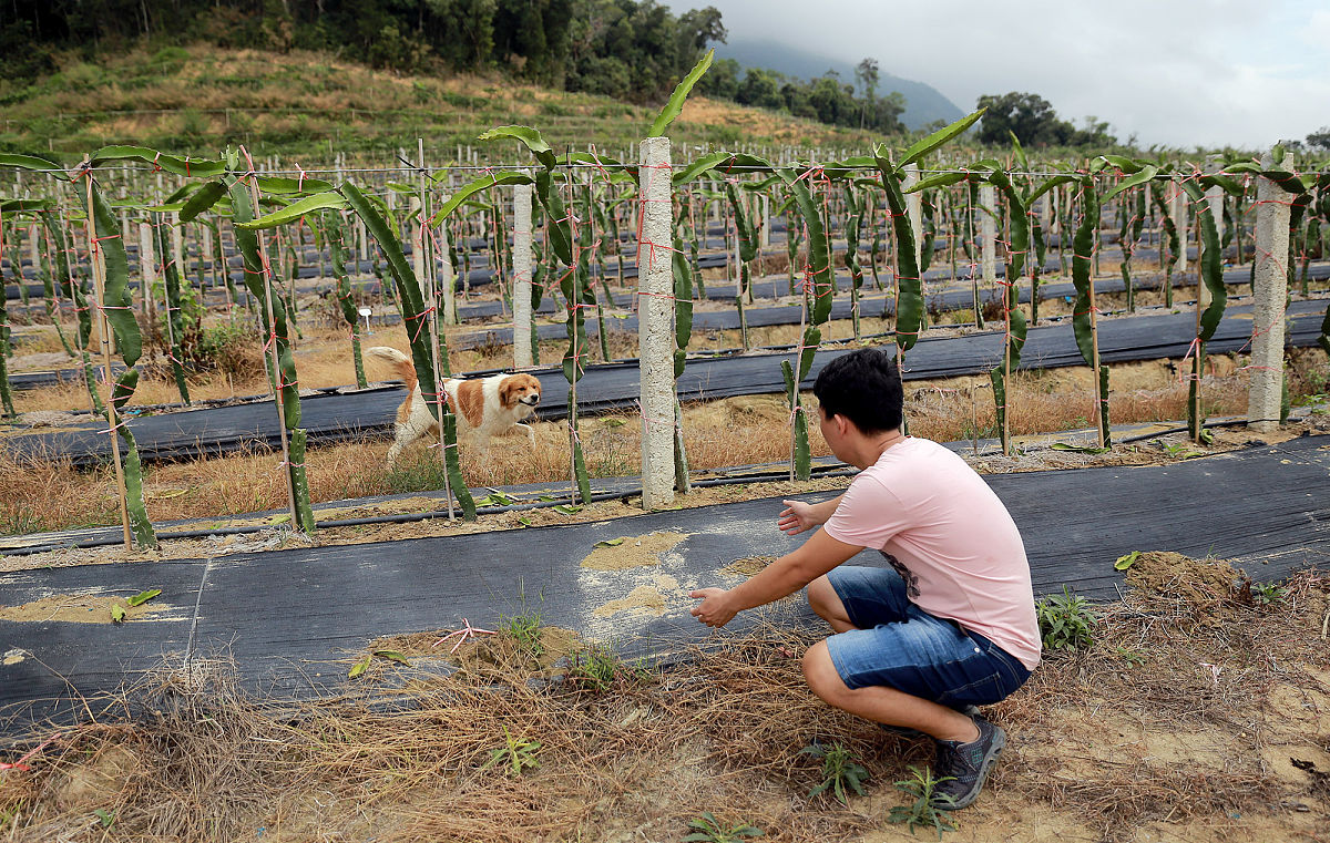 交通规划博士研究计划修改与完善