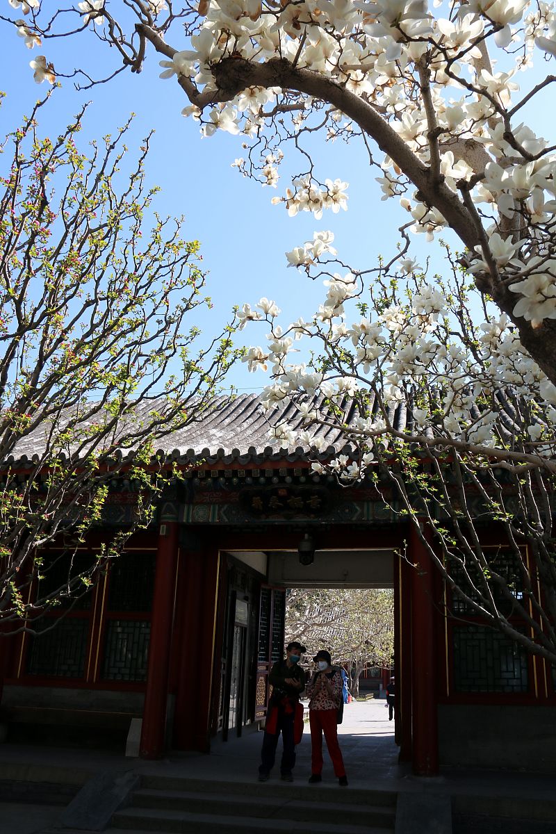 做个去北京游玩5天4夜的攻略
