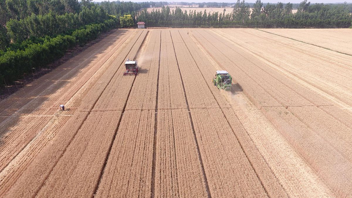 茌平县职业教育中心学校2019年招生简章 - 培养技能人才，成就未来梦想